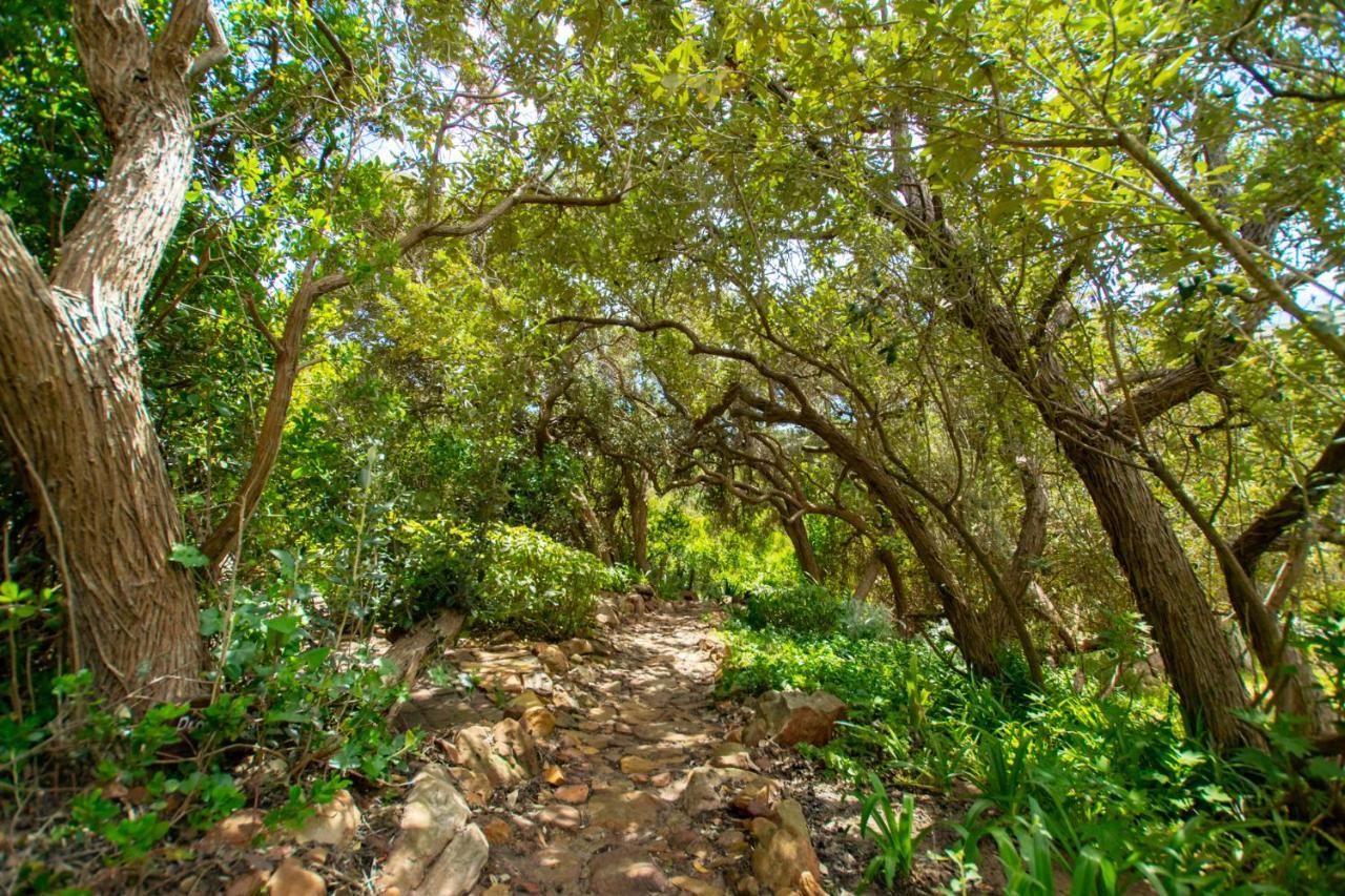 Makapa Lodge Cape Town Exterior foto