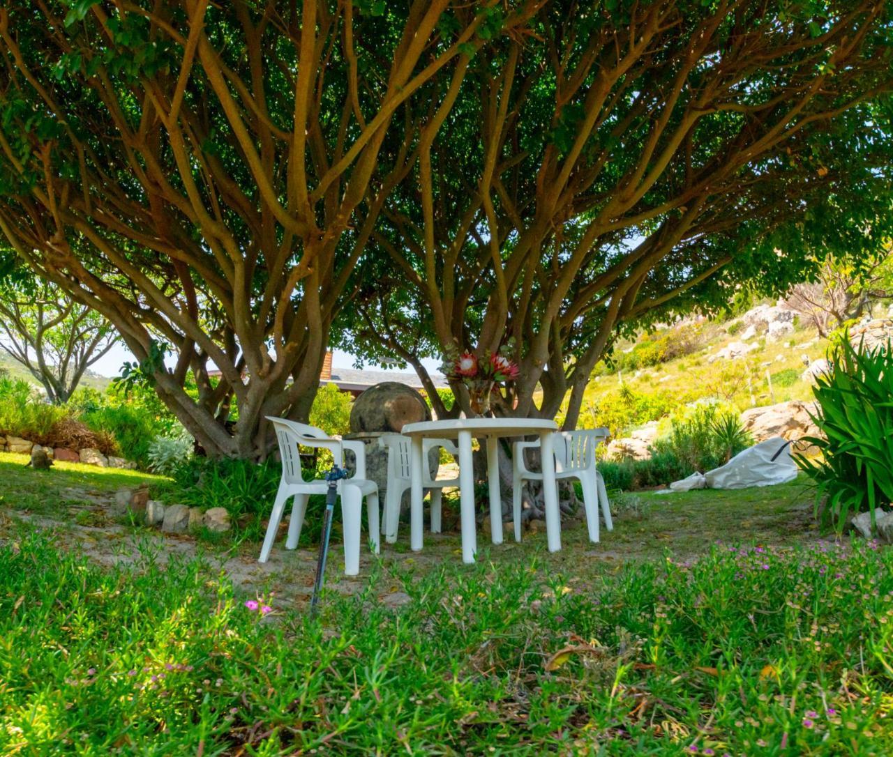 Makapa Lodge Cape Town Exterior foto